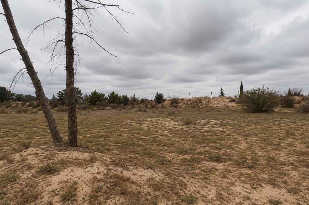 Commercial | Investment Plot | Al-Harsha – Al-Zawiya